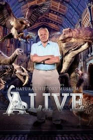 Film Natural History Museum Alive streaming VF complet