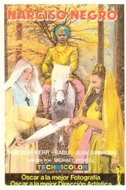 Imagen de Narciso negro