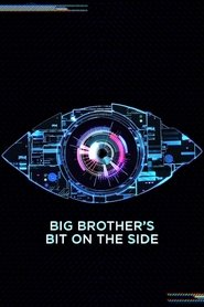 Poster of Big Brother's Bit on the Side