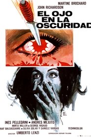 Imagen de El ojo en la oscuridad