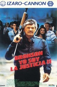 Yo soy la justicia II 1987