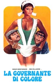 Film Una bella governante di colore streaming VF complet