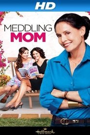 Film Mères entremetteuses streaming VF complet