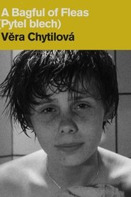 Film Pytel blech streaming VF complet