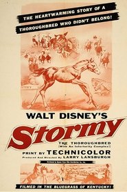 Stormy, the Thoroughbred streaming sur filmcomplet
