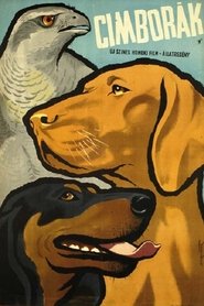 Film Cimborák - Nádi szélben streaming VF complet