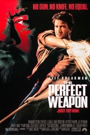 Film L'Arme parfaite streaming VF complet