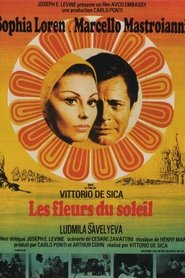Film Les Fleurs du soleil streaming VF complet