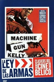 Imagen de La ley de las armas