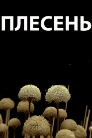 Poster of undefined