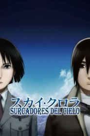 Imagen de Surcadores del cielo