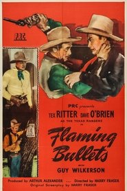 Flaming Bullets