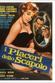 Film I piaceri dello scapolo streaming VF complet