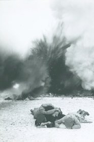 Film Pro Patria streaming VF complet