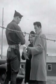 Film A Challenge To Democracy streaming VF complet