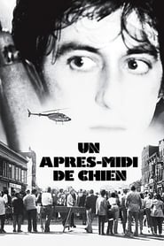 Film Un après-midi de chien streaming VF complet