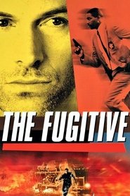 Poster of The Fugitive