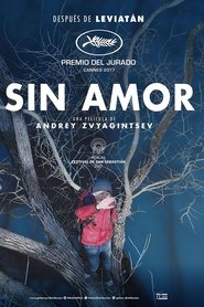 Sin amor 2017