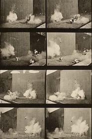 Chickens Scared by Torpedo streaming sur filmcomplet