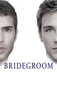 Film Bridegroom streaming VF complet