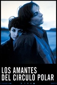 Film Les Amants du cercle polaire streaming VF complet