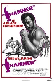 Film Hammer streaming VF complet