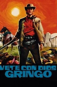 Film Vaya con Dios, Gringo streaming VF complet