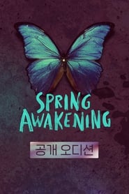 Spring Awakening the Musical in Korea