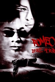 Romeo Must Die (Romeo debe morir)