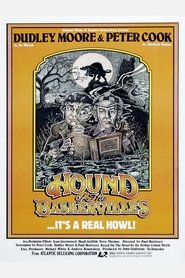 Imagen de El perro de Baskervilles