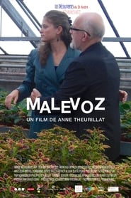 Film Malévoz streaming VF complet