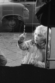 Film Die Fensterputzerserenade streaming VF complet