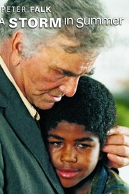 Film A Storm in Summer streaming VF complet