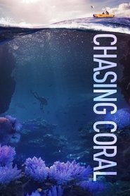 Chasing Coral 2017