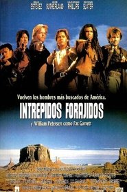 Intrépidos forajidos 1990