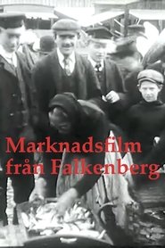 Marknadsfilm från Falkenberg