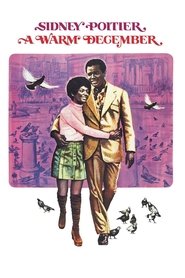 Film L'amour fleurit en décembre streaming VF complet