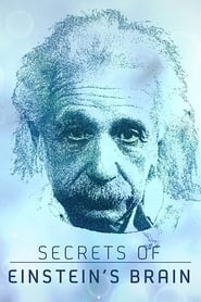Secrets of Einstein's Brain
