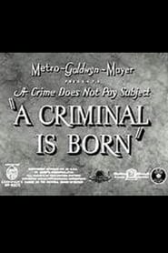 A Criminal Is Born