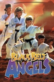 Film Black Belt Angels streaming VF complet