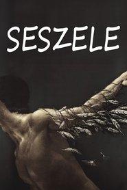 Poster of undefined