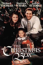 Film The Christmas Box streaming VF complet