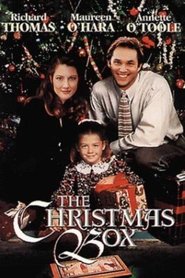 Film The Christmas Box streaming VF complet