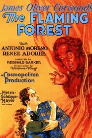 The Flaming Forest streaming sur filmcomplet