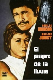 Imagen de El pasajero de la lluvia