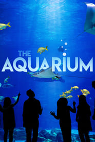 Poster for The Aquarium (2019)