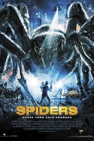 Spiders 2013