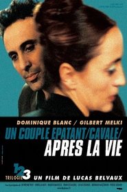 Film Après la vie streaming VF complet