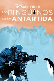 Los pingüinos de la Antártida