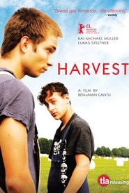 Film Harvest streaming VF complet